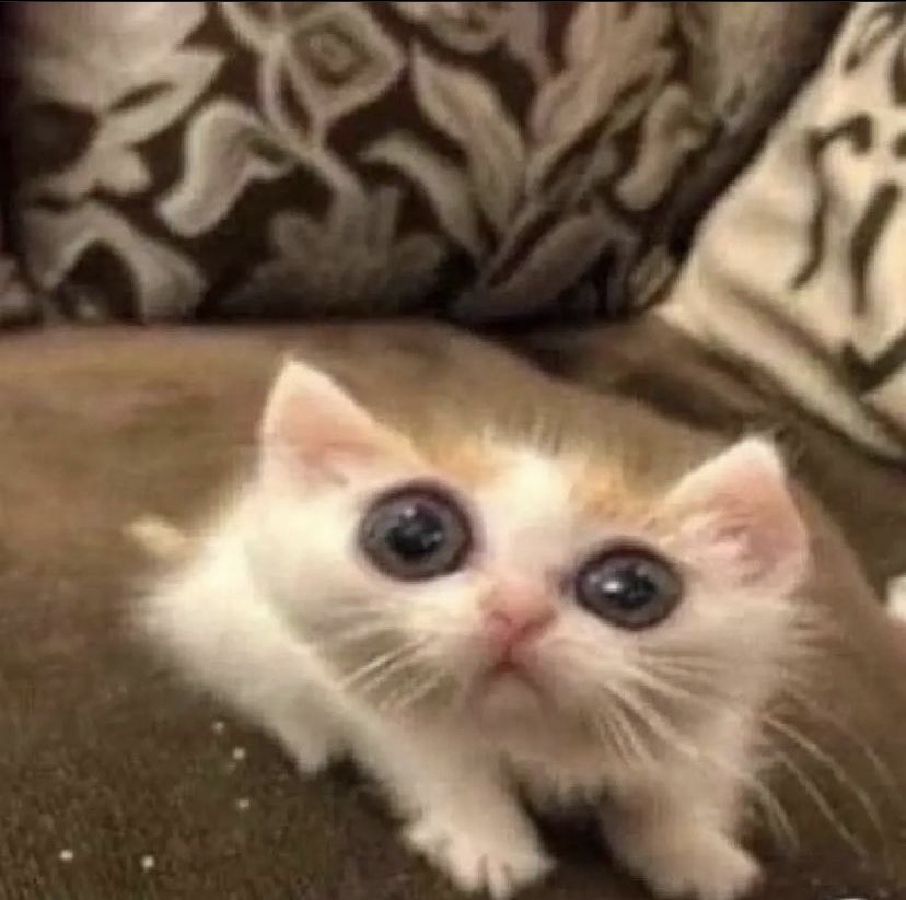 PowerfulAuraX's tweet image. 