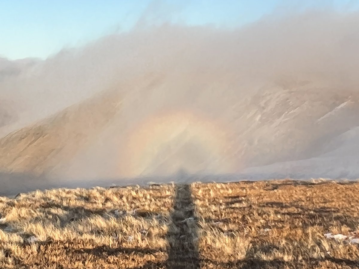 ratherbrunning's tweet image. The beautiful Seana Braigh treating us to a spectacular inversion and cloud waterfall on Monday! We finished the day with a Brocken spectre on Corbett Carn Ban. Just magic ⛰️💜 #munros #sutherland #roundtwo