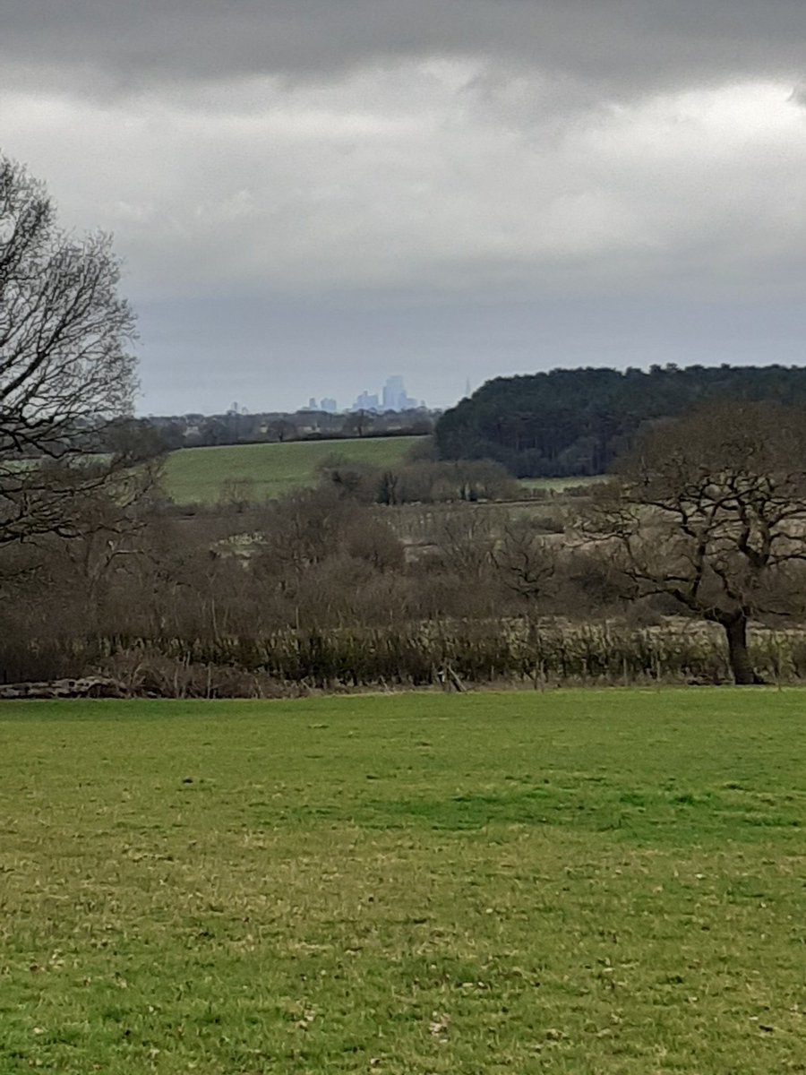 Janetalkstrees's tweet image. Inspiring visit to Enfield to see current woodland creation to slow the flow as part of publicly accessible greenspace! Views down to central London from the greenbelt, volunteers busy planting trees....