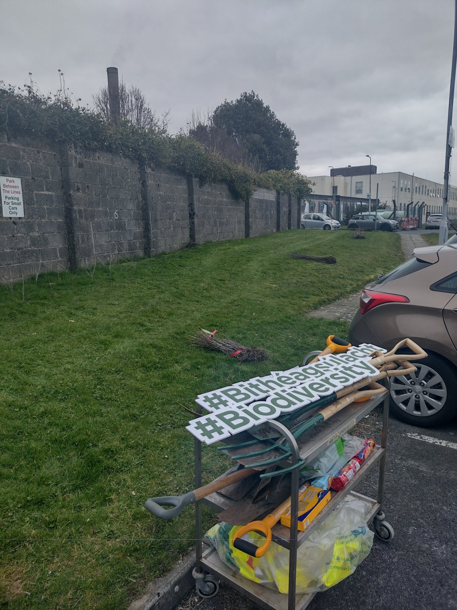 Ní neart go cur le chéile! 🌱💪🌳

Mighty effort by @TheConorGraham & great team of volunteers today planting native hedging @ATU_GalwayCity ahead of National #GreenWeek next week.
We'll sleep well tonight!! 

#biodiversity #bithéagsúlacht
@GreenGMIT @FahertySheila  @OFlynnATU