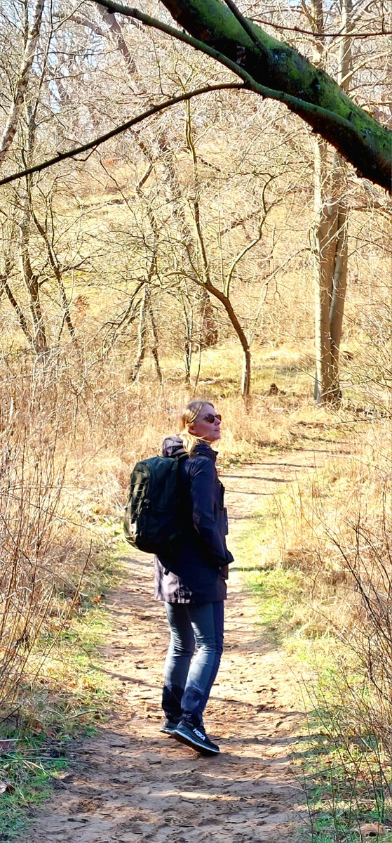 MadelonvS's tweet photo. Dagje Kennemerduinen...met zon, blauwe lucht en.... Wisenten! https://t.co/SA9tIc7e1V
