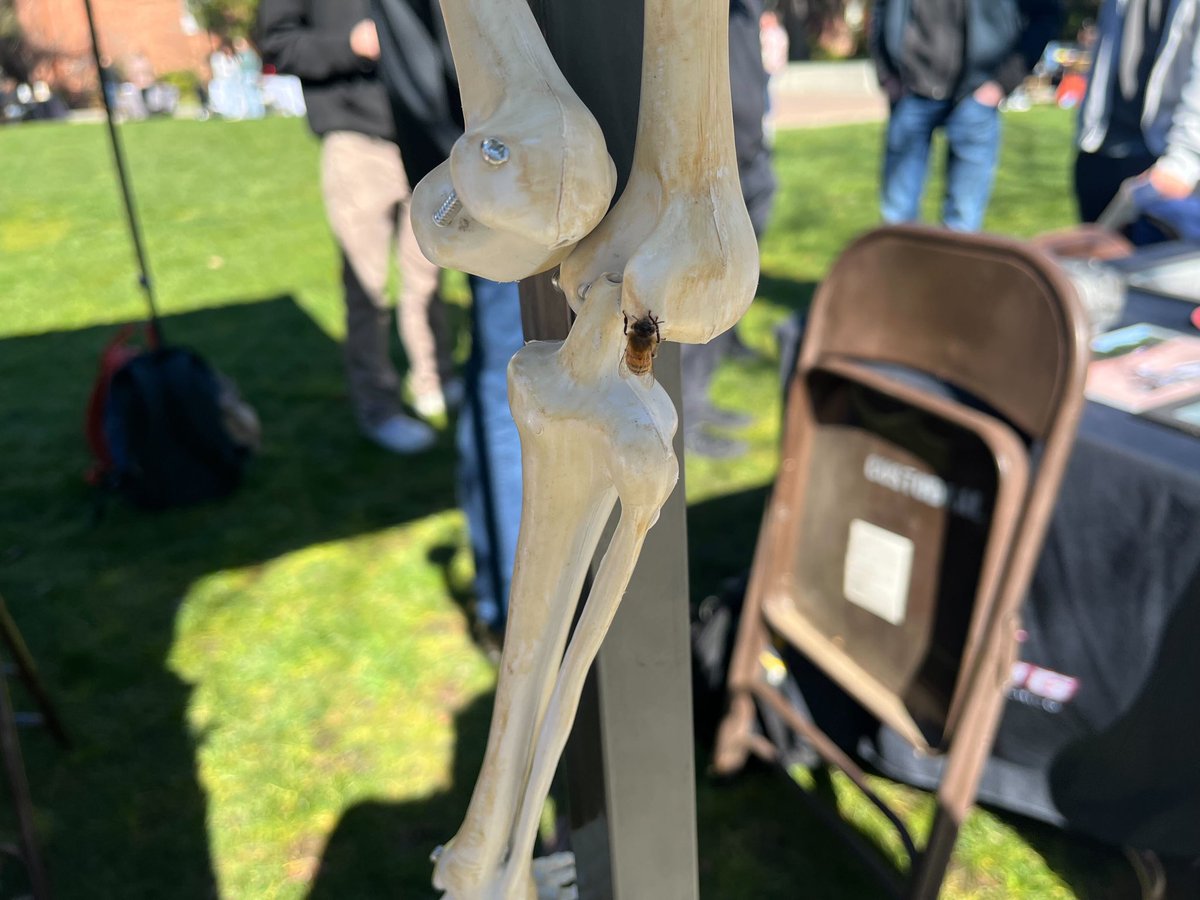 KCSC Radio is the Bees Knees! Find us tabling outside the BMU today and keep the music going by donate to our Giving Day Campign! You can also find it by following the link in bio 🤘