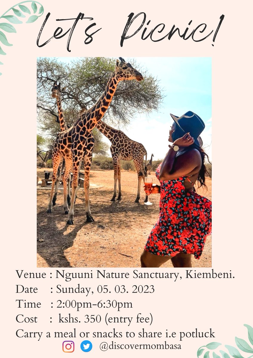 Discover_Msa's tweet image. Do join us 🤗!
By matatu, take matatus plying the Bamburi Kiembeni route then alight at a stage called Turkey Base and you would have arrived. 

By private means we truly believe Google maps won't fail you in this 😂.

Don't forget to carry snacks and meals to share.