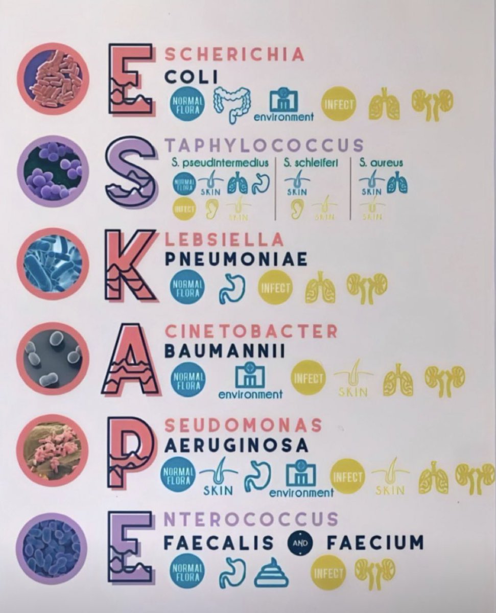 JulioFdez79's tweet image. Bacterias resistentes a antibióticos…
“las que se escapan” 🧫