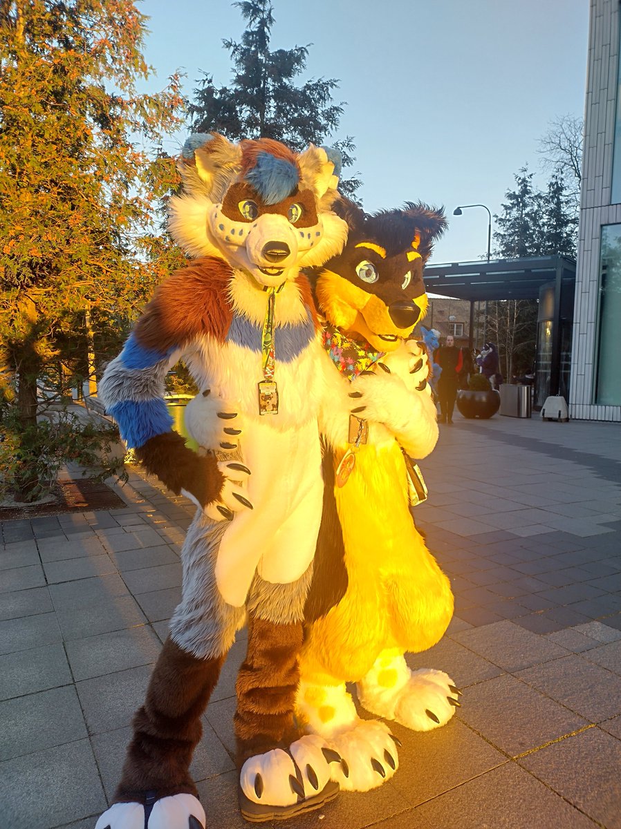 TeppyCollie's tweet photo. Staring into the sunset with @carfurr 🐶🌅🦝
It was nice meeting you!
#NordicFuzzCon #NFC2023
✂️@Furitup https://t.co/lLjwcHjM8n