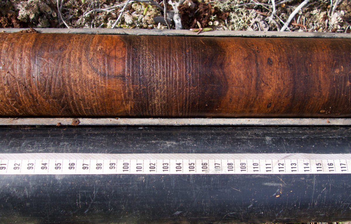 5 reasons why peat is powerful:
1) Peat is 50% carbon. That C was taken out of the atmosphere by plants and soils and put into ecological lockdown. Let's keep it there.
2) Peat archives everything from past climate to archeological records. Peat = information we need. 1/