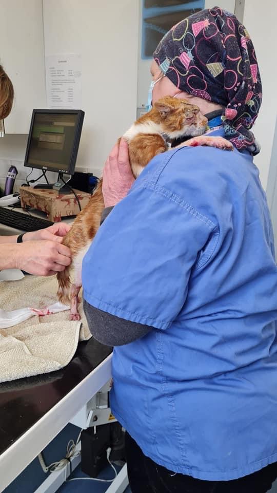 Todays appointment was extra long as Rosa needed hugs at every stage.

We are not even 3 weeks in.

Nursing Rosa is a massive commitment (but never a burden).
The time, care, emotions and finances that we are pouring into "Rosas pot" is like nothing we have ever experienced.