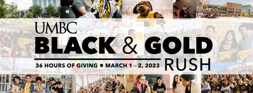 Five hours in and I'm already impressed by UMBC colleagues and alumni... What can we do in 36 hours? Contribute to #UMBC's #BlackAndGoldRush and see what’s possible when we work together. bit.ly/SaraLermaJones…