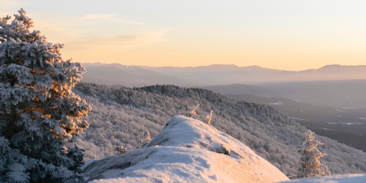 Dunham Shoes tweet media