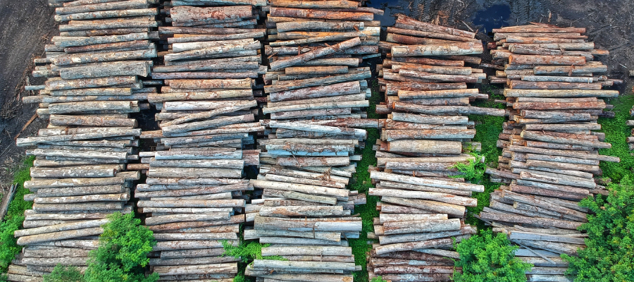 EarthDay's tweet photo. How much do you know about deforestation and biodiversity?

Find out here⬇️ 
https://t.co/i8fLPXPC9O 
#Thecanopyproject #Quiz #WorldWildLifeDay #WildLifePhotography #PlantTrees #WorthMoreAlive #wildlifeconservation https://t.co/gm7aef8QkM