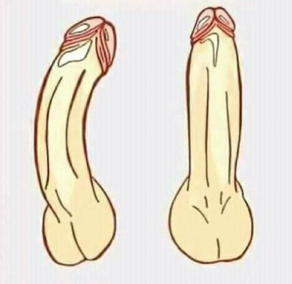 Ayer fue en broma, hoy es en serio 😆 dejen foto (con ubicaci&oacute;n si quieren) usando el #TeamCurvo o #TeamRecto Y<a href="/tag/anime"class="tags"><span>#anime</span></a><a href="/tag/hotwife"class="tags"><span>#hotwife</span></a><a href="/tag/dinamica"class="tags"><span>#dinamica</span></a><a href="/tag/teamcurvo"class="tags"><span>#teamcurvo</span></a><a href="/tag/teamrec"class="tags"><span>#teamrec</span></a>