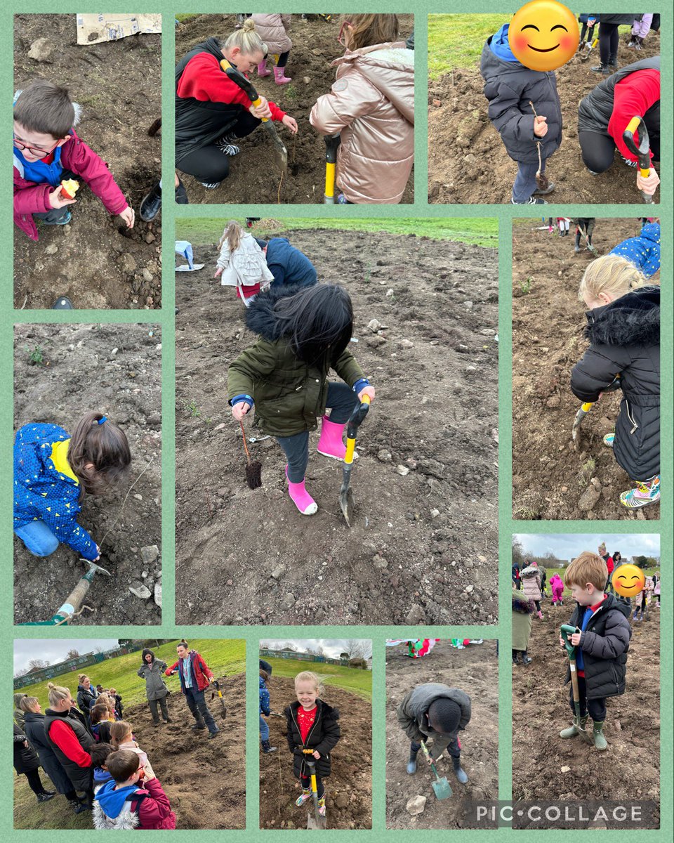 portmeadp's tweet photo. Year 1 had so much fun planting trees for our new Tiny Forest today! 🌳 #pmdpy1 #pmdpst #pmdphwb https://t.co/o7i43JVXe7