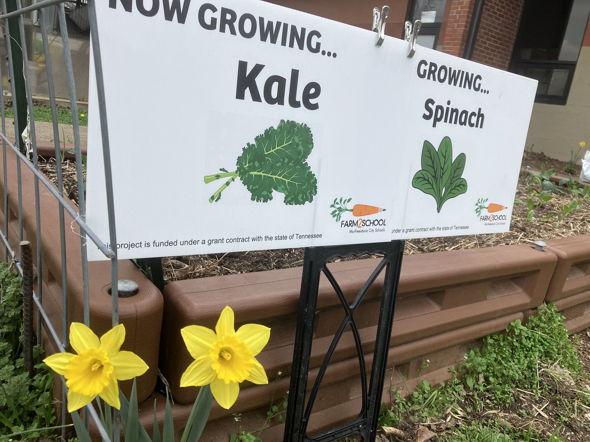 Spring is springing in the Farm2School gardens! @MCScommunicates #outdoorlearning