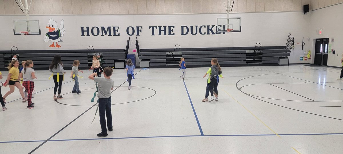 WBEPhysEd's tweet photo. Yoshi for the win with 3rd, 4th and 5th grade KHC celebration today!  All who signed up and accepted Finn's Mission got an extra PE class. @WabashStation @wabashducks @KidsHeartChall https://t.co/RItqyo8iDK