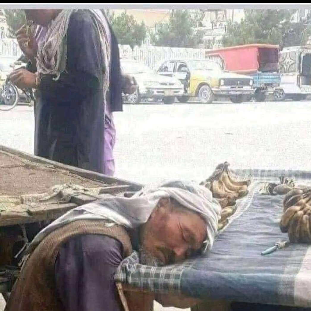 سخت کار کردیم، اما دزدی و خیانت نکردیم، کشور را نه فروختیم، و هیچ موقع پایی سندِ یک معاهده ی ننگین را امضاء نکردیم.
#StopHazaraGenocide