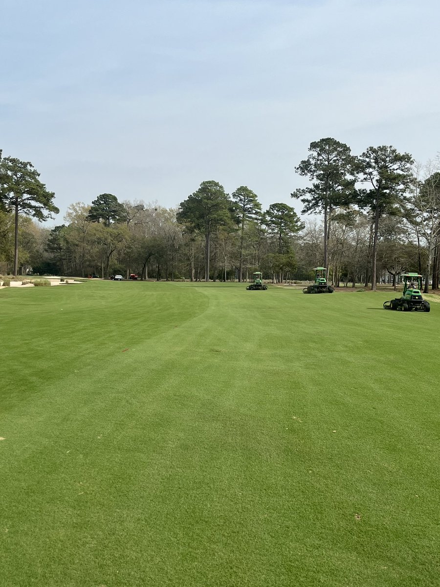 Rick Stafford tweet media