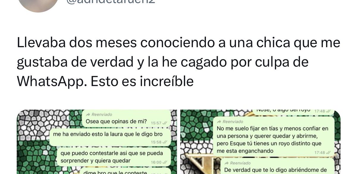 ceciarmy tweet media