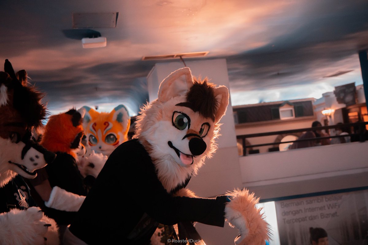 MegosDummi's tweet photo. Yote doing silly Yote things @ Kidzania!
✂️: @wolf_daz 
📸: @roastedduk https://t.co/6kvuQ8BRqR