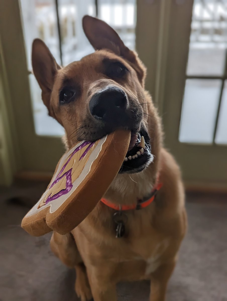 caseyrosenthal's tweet image. Two weeks ago was the first @LFISoftware Conference. It was one of the best conference I&apos;ve ever attended. Huge thanks to @nora_js and @jeli_io for putting it together, and especially for the best conf swag ever (pictured below). Videos are online here: youtube.com/playlist?list=…