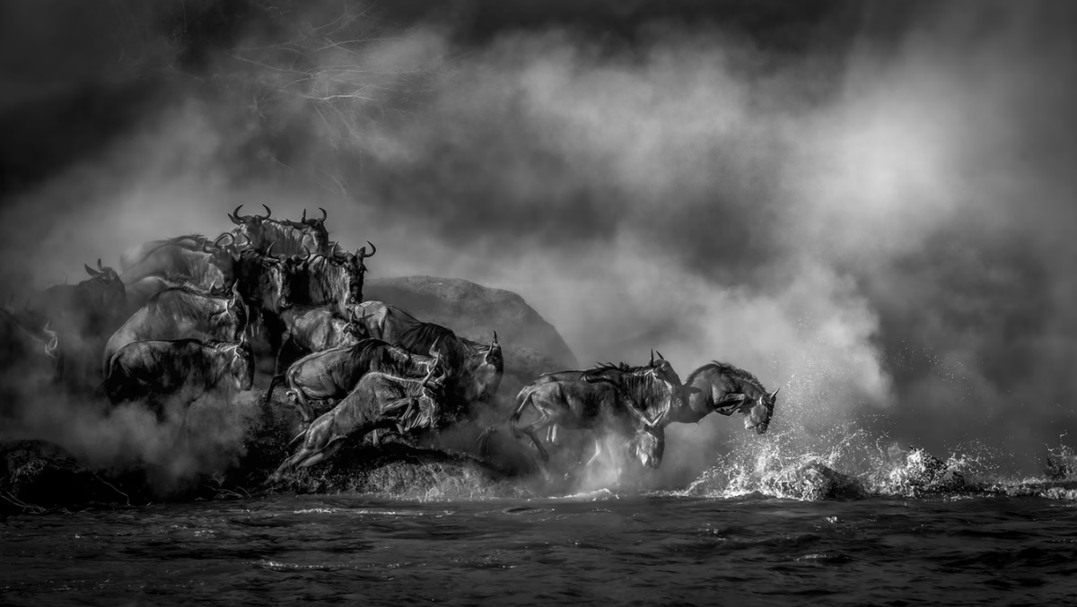 Derek Thompson tweet media