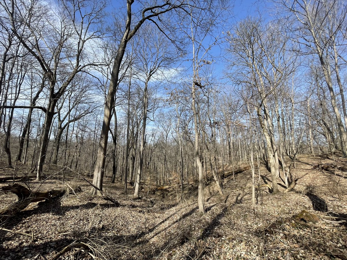 jenwaltersphoto's tweet photo. Perfect day to begin the 2023 #SpringFlingTrailChallenge! Kenz, Kyrie and I hit the Forest and Tree Trail at Ault Park! Beautiful place! @CincyParks #MyAdventureChallenge https://t.co/iBYu8sVjbT