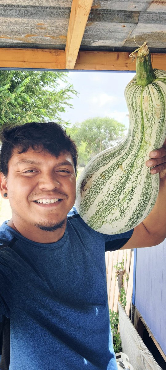 gbeyale's tweet photo. Wóózhchį́į́d (March) Sale! 4 day sale

Check out our seed collection!
🌽🌱🫘💚🎃🌱🍉💚🥒

Use #GREENHOUSE at checkout to receive 13% off your entire order &amp; support our efforts to build our first greenhouse on the farm.

INDIGENOUS. ORGANIC. UNALTERED.

https://t.co/EkftUocN4H https://t.co/y4cxB698ib
