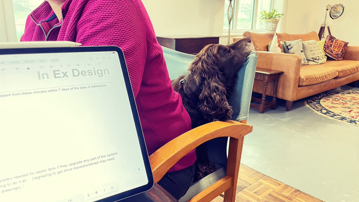 In Ex Design tweet media