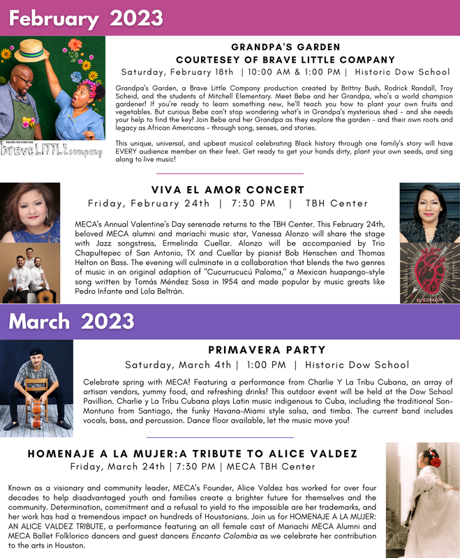 Houston in Action tweet media