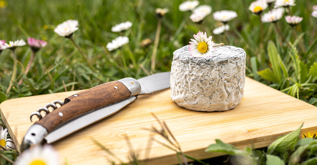 The efforts of eco-conscious cheesemakers ♻️🧀

'Math explains its potential for environmental villainy: It takes roughly 10 pounds of milk to create one pound of cheese, and the average dairy cow produces enough buff.ly/3IuEu2X.'

#cheese #dairyindustry #dairyprocessing
