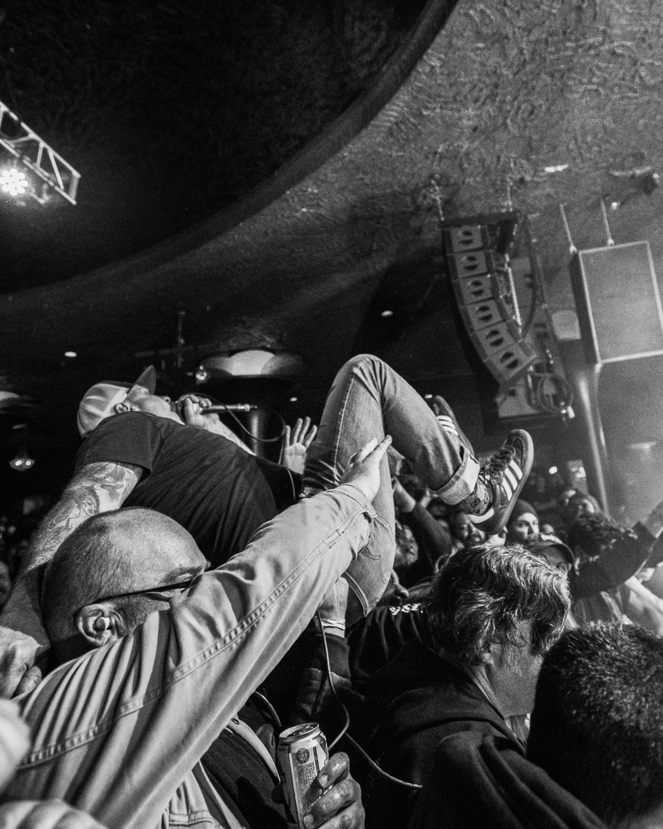 David Knudson tweet media