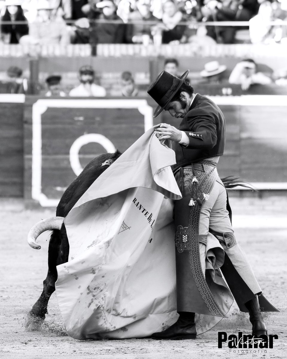 - DE CIGARRERAS MANERAS-
La pureza del cigarrero José Antonio Morante Camacho (Morante de la Puebla) a la Verónica en el Festival de Huelva en el día de Andalucía.
@toroshuelvalamerced

#pureza #morante #joseantoniomorantecamacho #cigarrero #añejo #festival28febrero #lamerced