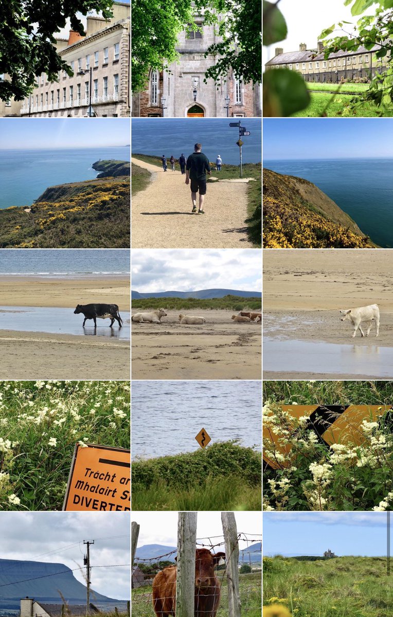 onmymindtheblog's tweet photo. My photography blog now live on Instagram ๐ท๐ค
#photography #photographer #irishphotography #ireland #photographyblog #irishbloggers #discover
https://t.co/gn8LWZd4sm https://t.co/dxNrz63mNG