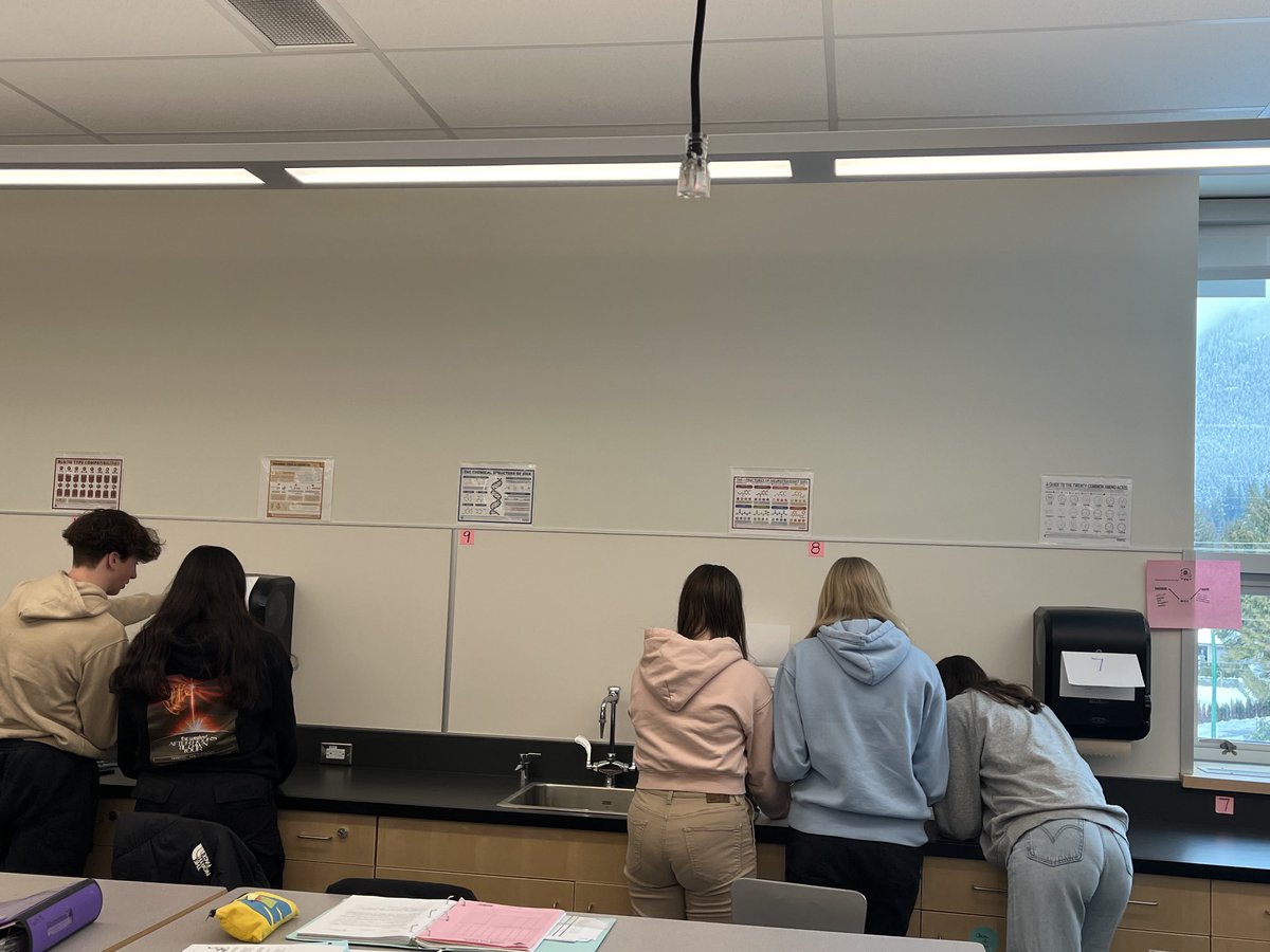 ToombsETeaches's tweet photo. It’s that time of year! Trick or treat! 🎃 All right, I know it’s awkward…but in semester system, we are practising #mole calculations in #chemistry 11 to see if we can catch the errors in provided solutions. ⁦@NVSD44⁩ ⁦@HandsworthHSS⁩ https://t.co/vnzF32R6u2