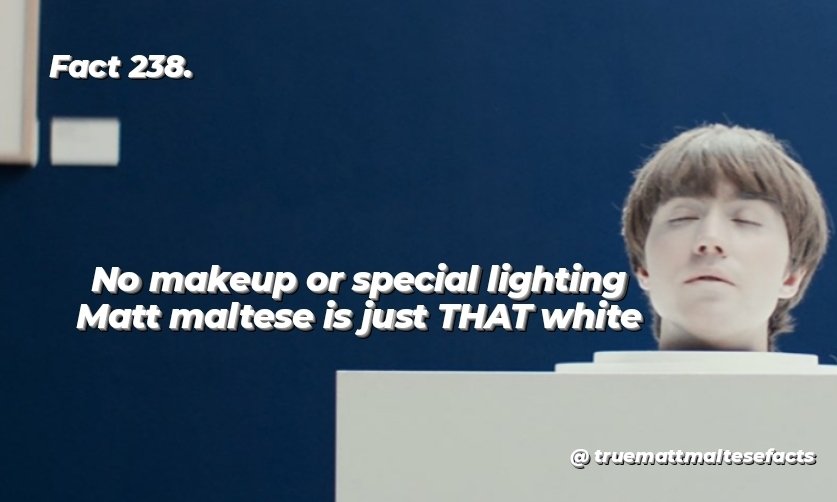 TrueMattMalteseFacts tweet media