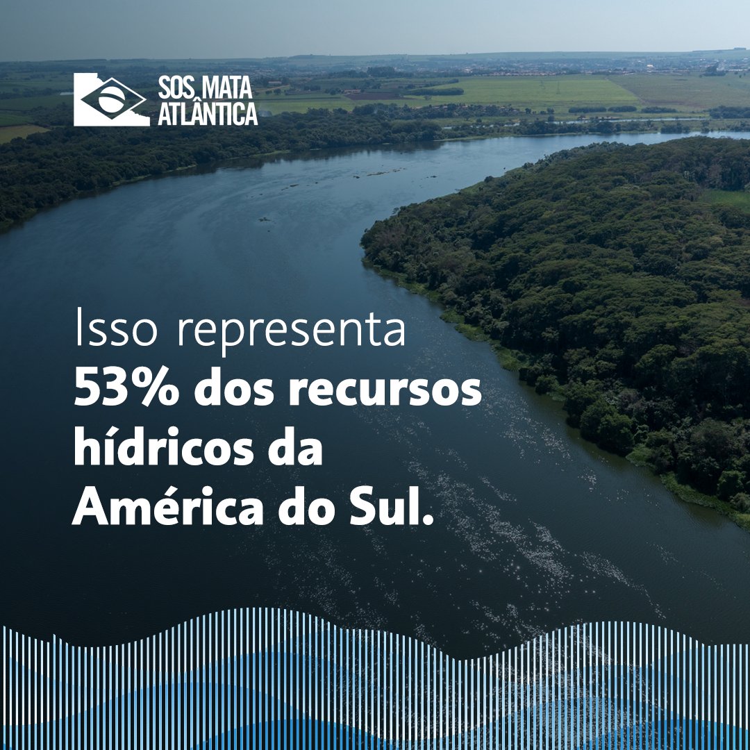 A Mata Atlântica, bioma que é lar de mais de 145 milhões de brasileiros, desempenha um papel importantíssimo quando o assunto é abastecimento de água.