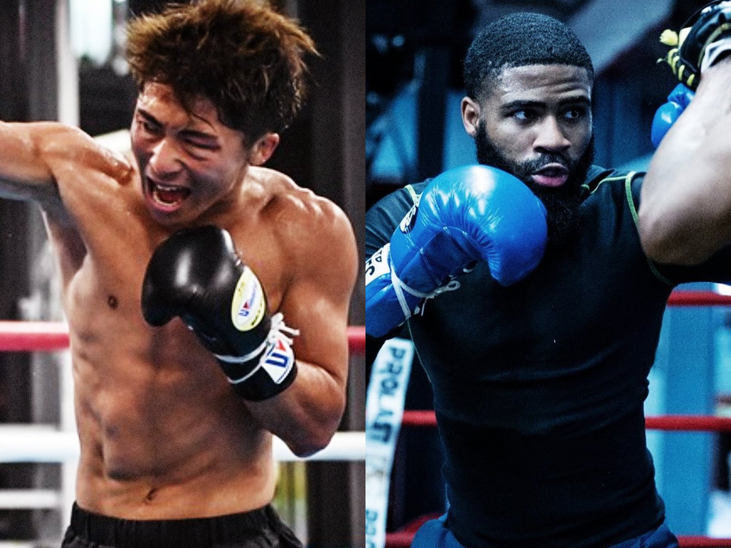 UNISEX S/M 7月25日 井上尚弥vsフルトン戦 決定!井上尚弥サイン