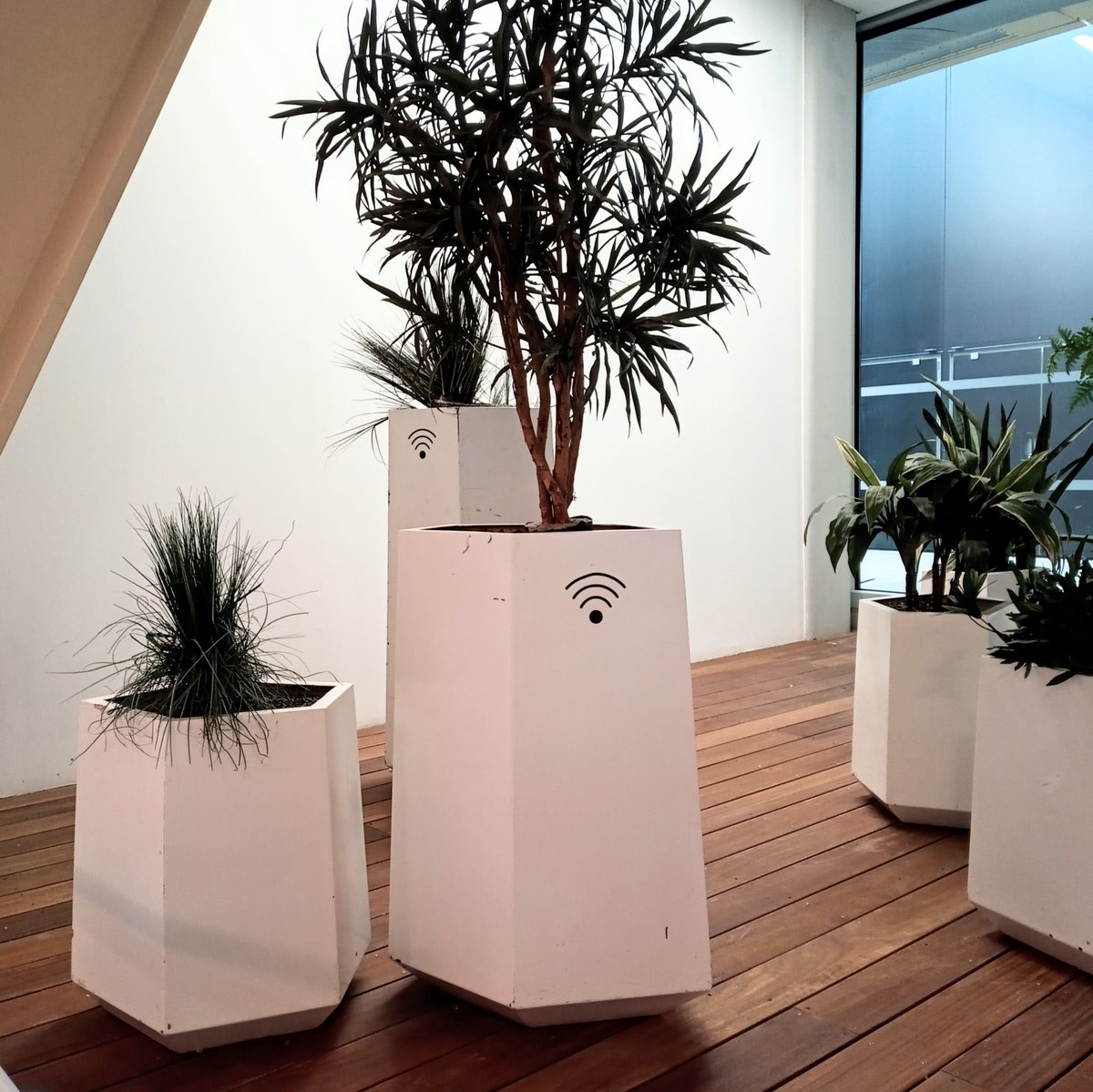 Tom Ireland tweet media