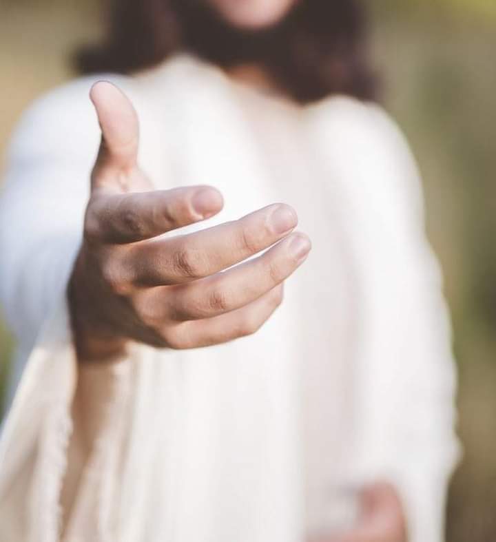 تصبح علي لمسه من ايده الحلوه في حياتك تفرح قلبك 🤲🤍