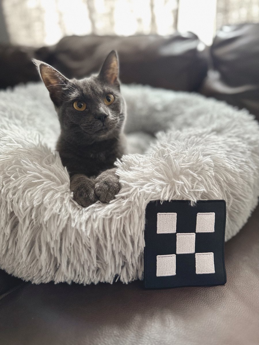 okx's tweet photo. Quick, reply with a photo of your pet and we’ll tell you what crypto it reminds us of 👇 https://t.co/henpY6dp9e