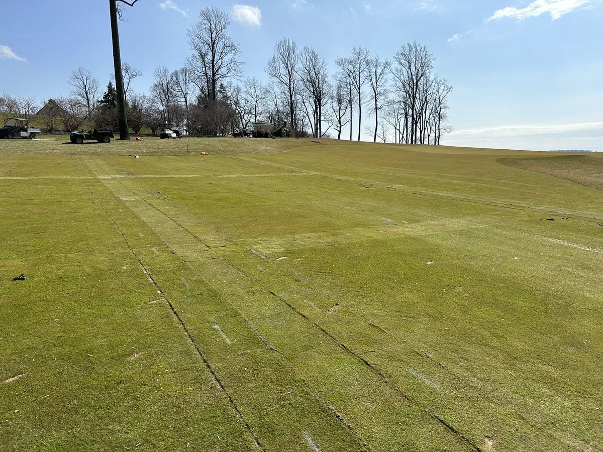 Sam Moynihan tweet media