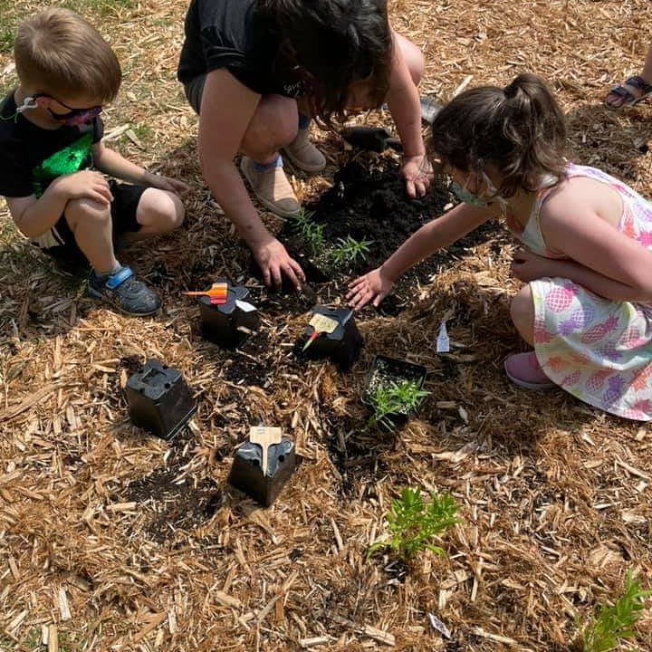 Melissa Marsh tweet media