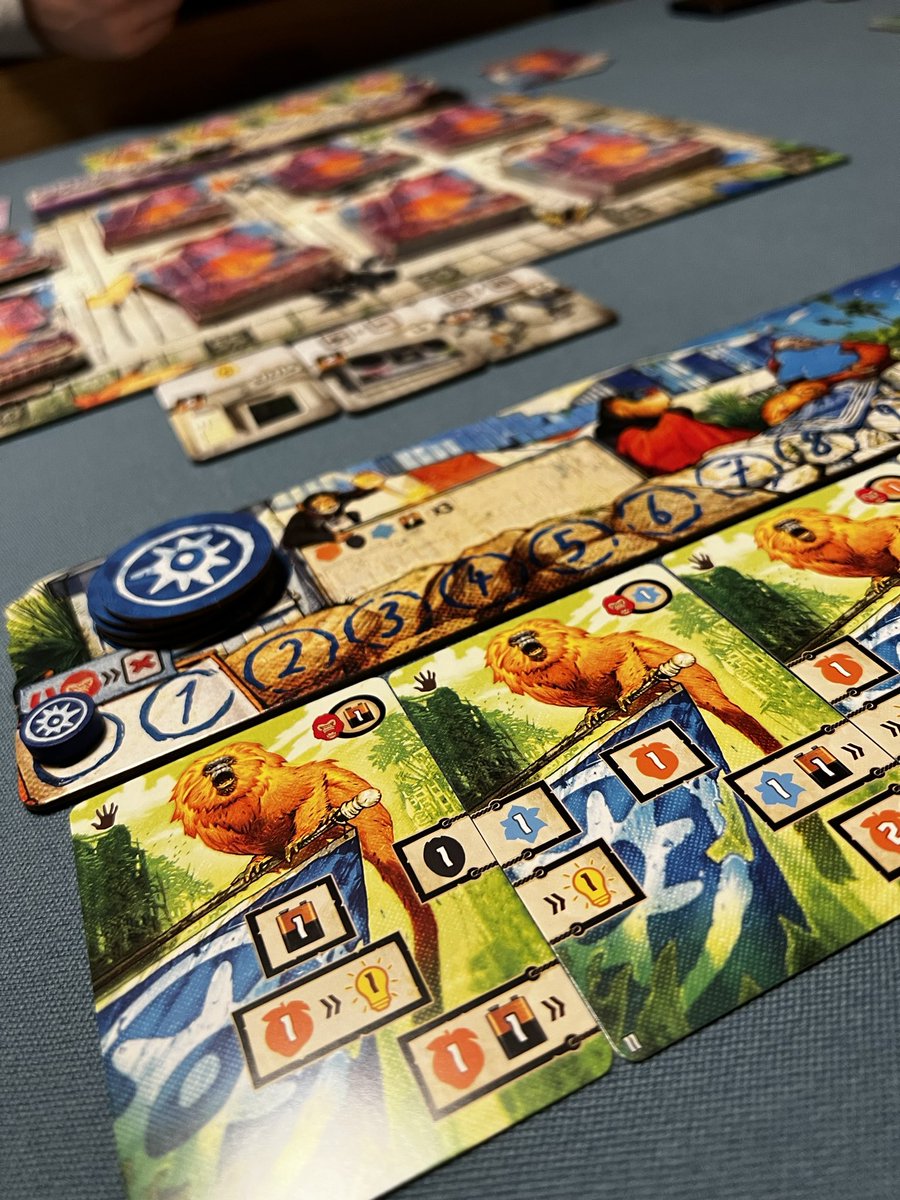 NovoCaiin tweet media