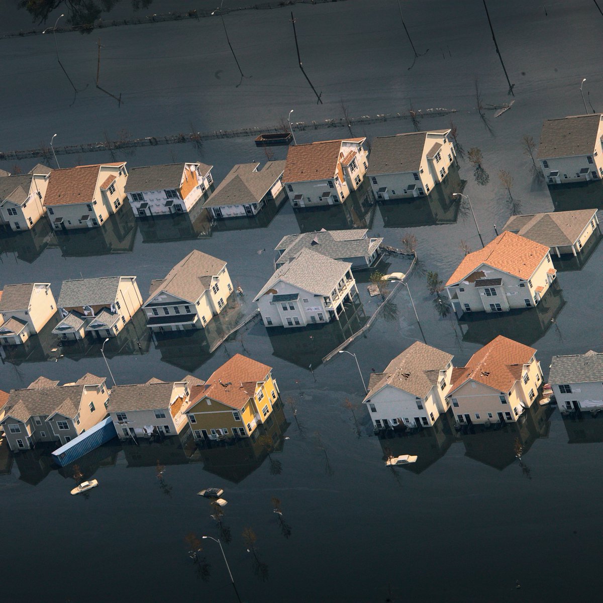 @MobilizeWeb3 Love being a part of this stunning @Spatial_io Gallery created by @Crypto_Breezy7 for #mw3climate #ClimateActionNow 

Works on display highlight the force of nature thru Hurricane Katrina:-
objkt.com/collection/KT1…

#aerialart #tezosart #tezoscollectors