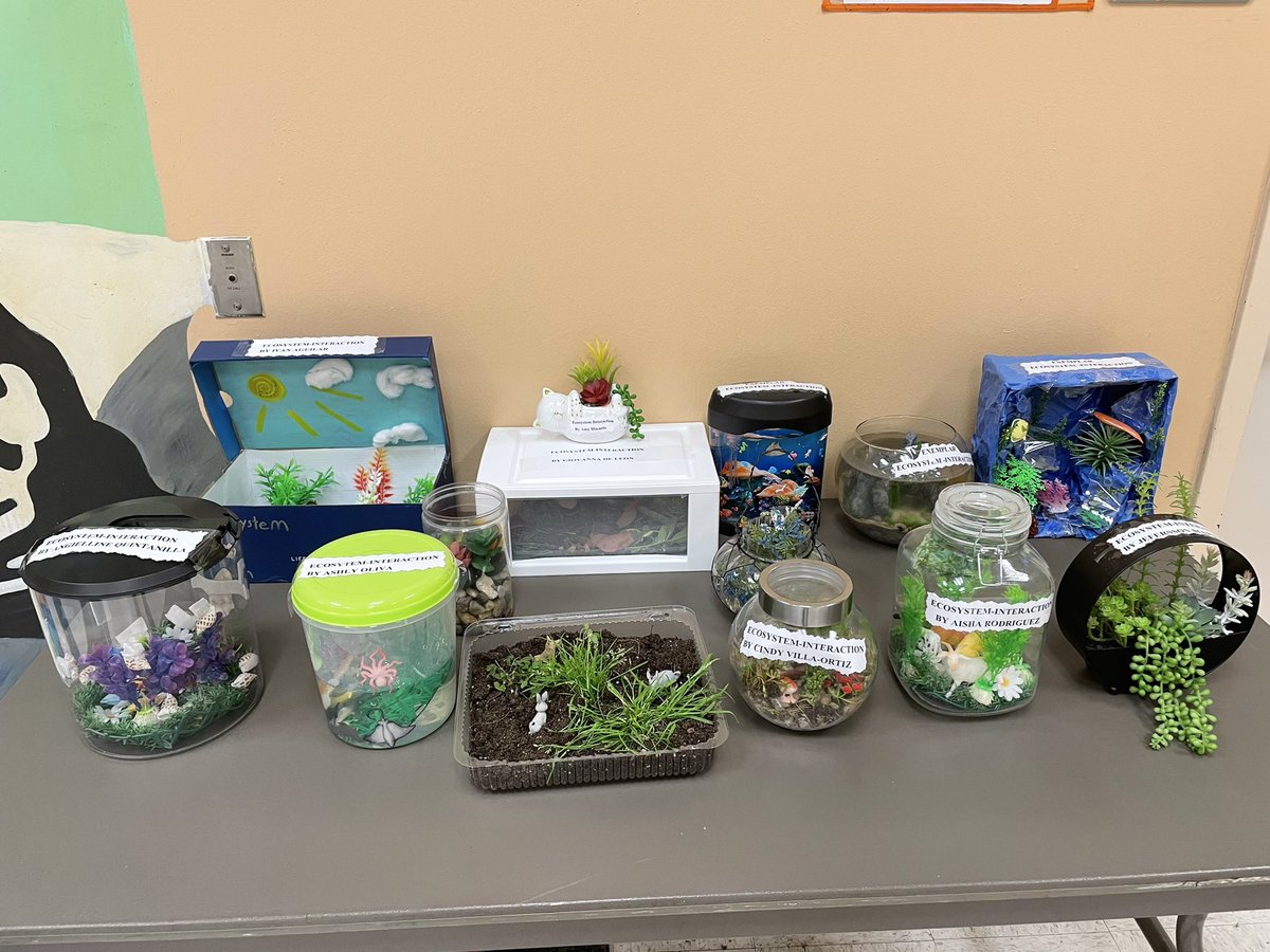 GoldenShandale's tweet photo. Checkout Mrs Realina’s 5th grade students’ ecosystems 🌱➡️🪱➡️🐤
I love seeing science come to life!
@TinsleySchool @HISD_ElemSci
#5thgradescience #hisd #hisdscience https://t.co/RklAdk29SS
