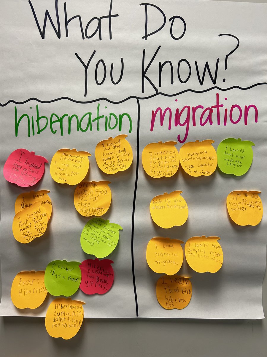 LitkeAngie's tweet photo. Students wrote what the already knew or what they learned about hibernation or migration.  ⁦@Longbranch_Elem⁩ #misdproud https://t.co/e6kh3UPqMH