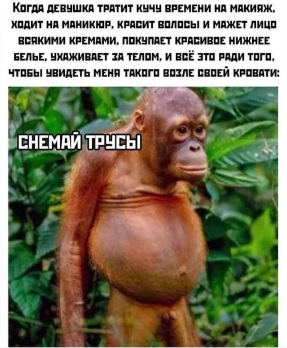 Орнул