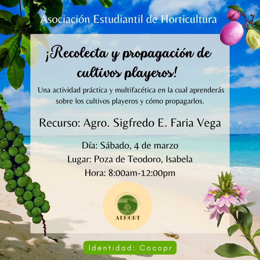 uprm's tweet image. INVITA: Asoc Estudiantil de Horticultura
Participa de nuestra actividad “Recolecta y propagación de cultivos playeros🌴🍇” este sábado, 4 de marzo de 8:00am-12:00pm en la Posa de Teodoro en Isabela. @RullanAgustin @UPR_Oficial 
#UPRM #SangreVerde #UPR #ColegioMayaguez @PrensaRUM