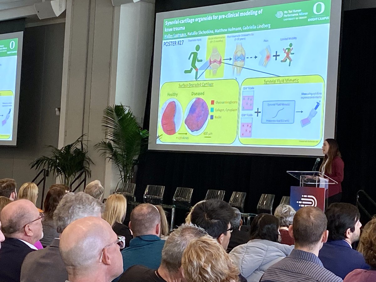 Inspiring Lightning Talks by our poster presenters about research highlights and late-breaking findings at the Alliance #humanperformance #2023WTAS
