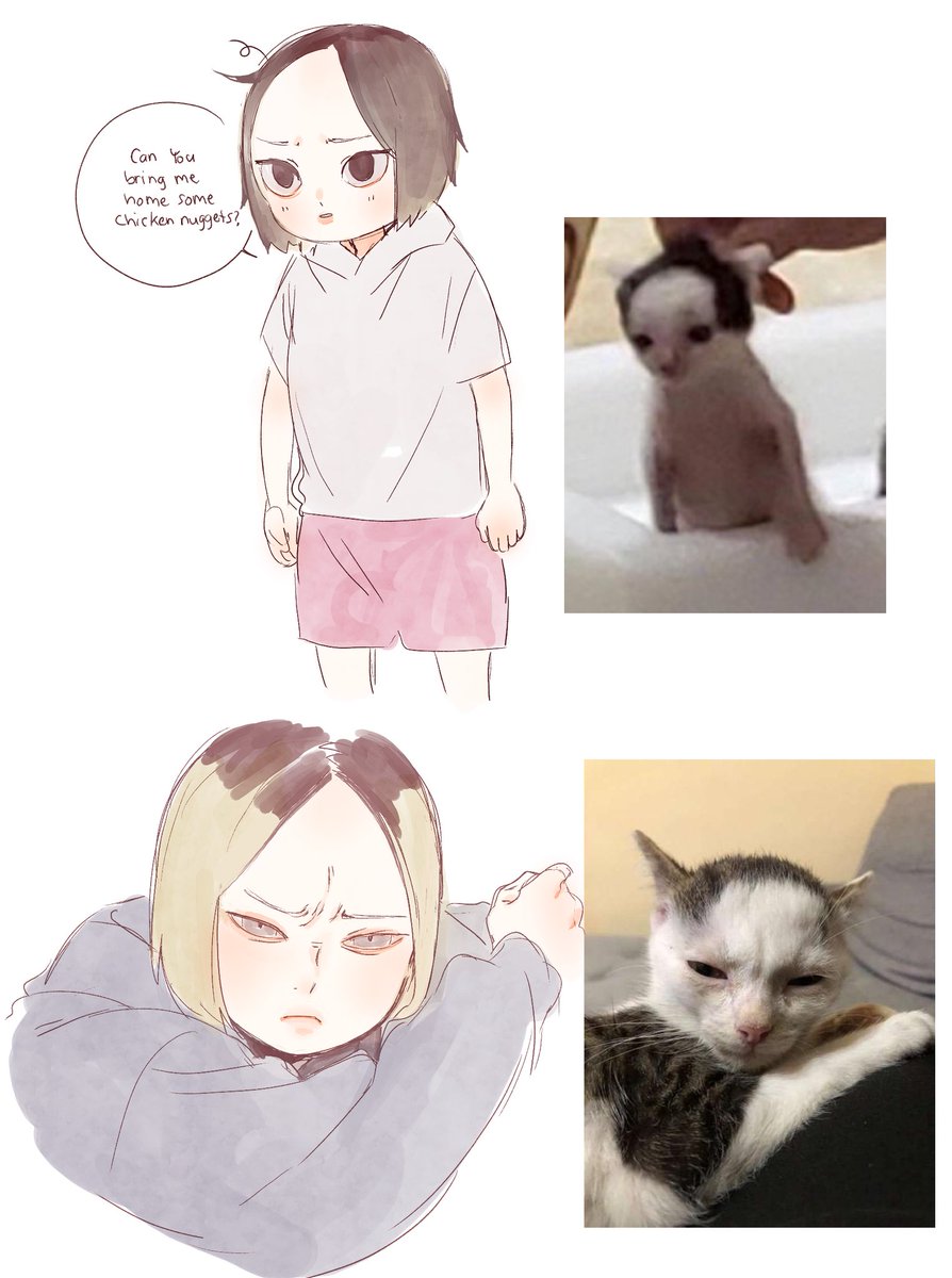 Cats that look like kenma 