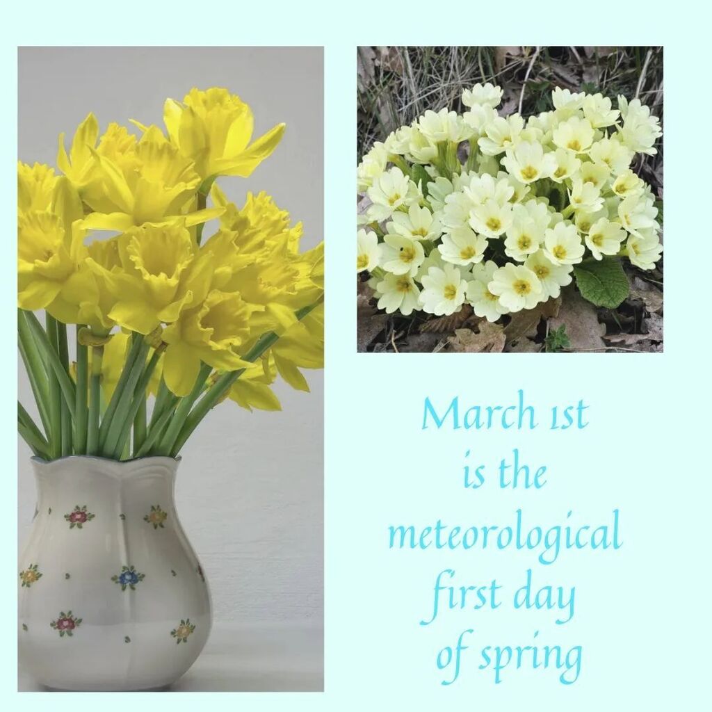 marieowyn's tweet photo. Happy first day of spring

💐💐💐 https://t.co/vvtRqJdjbW https://t.co/VtNKRc7Oxc